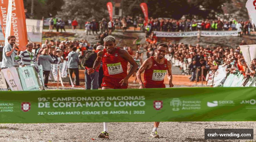 概览问鼎娱乐注册登录